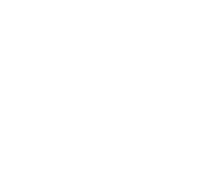 IFFR, International Film Festival Rotterdam