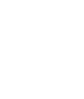 Nederlands Film Festival