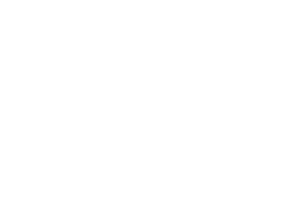 Nippon Connection